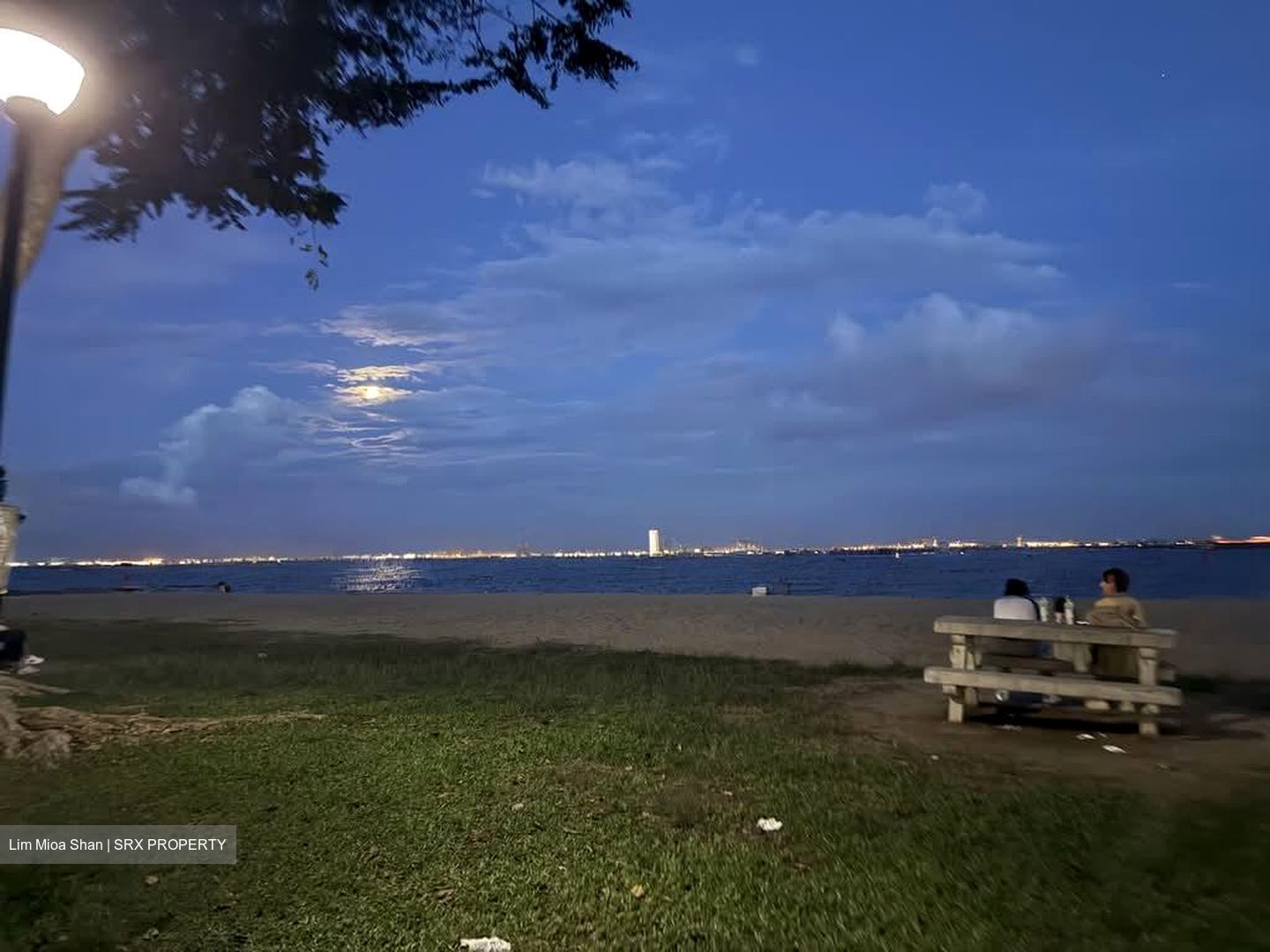 Bayshore Road (D16), Condominium #595216591